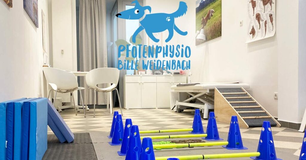 Hundephysiotherapie in Bad Neuenahr: Schmerzlinderung und mehr Lebensqualität für Vierbeiner