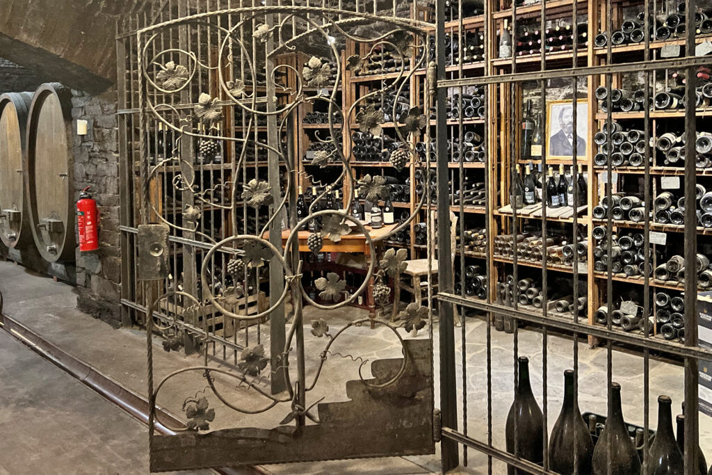 Die Winzergenossenschaft Mayschoß–Altenahr: Weinbautradition im Kreis Ahrweiler.