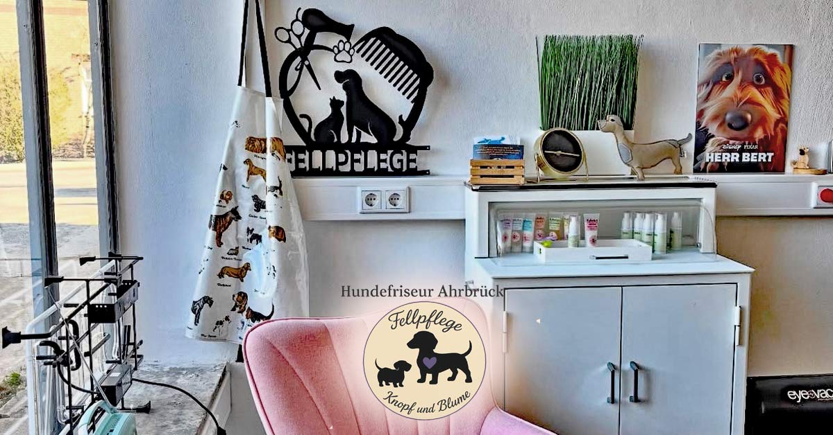 Ein Salon mit Herz: In Ahrbrück kümmert sich Fellpflege Knopf und Blume liebevoll um jeden Hund – für Glanz im Fell und Freude im Blick.