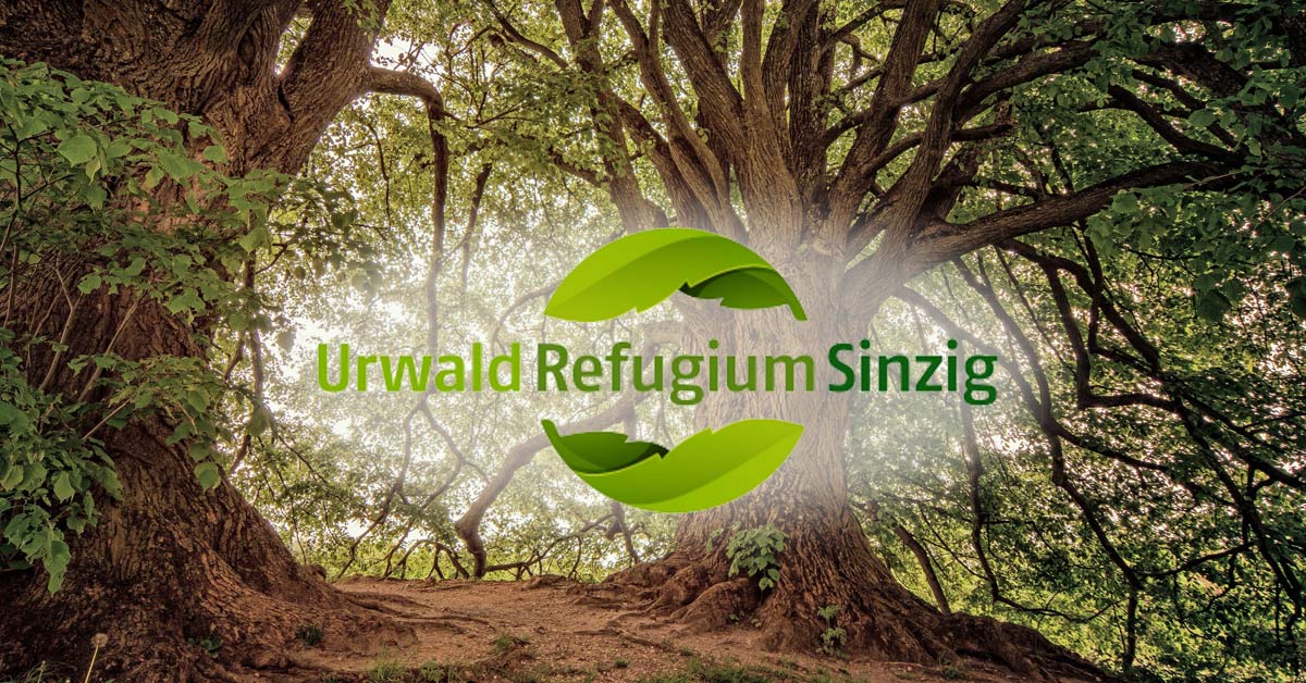In Sinzig kann man zu Ostern Anteile am „UrwaldRefugium“ verschenken – ein Quadratmeter Wald für 10 Euro.