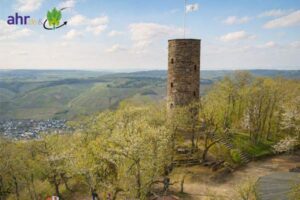 Ein Berg, ein Jubiläum: 100 Jahre Eifelverein auf dem „Kruus“