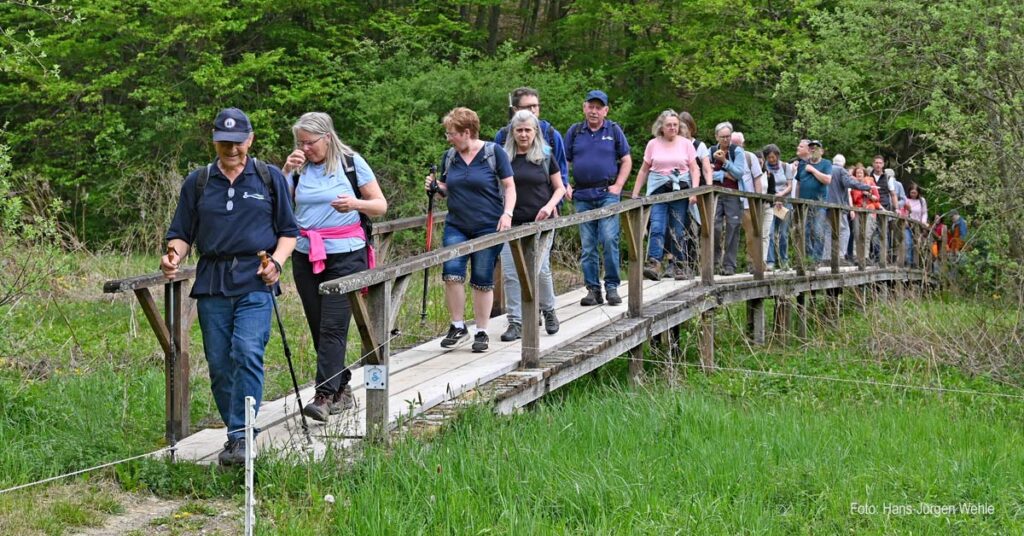 „20 Jahre Sahrbachweg“: Rund 60 Wanderer feiern das Jubiläum im Sahrbachtal. Spannende Einblicke in Natur, Römergeschichte und Bergbau.