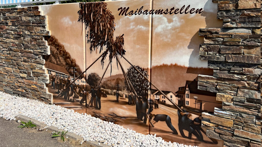 Der Dernauer Junggesellenverein stellt den Maibaum auf.