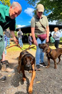 Beim Walderlebnistag im Steinrausch präsentiert die Kreisgruppe Ahrweiler ihre Jagdhunde im vollen Einsatz – inklusive packender Vorführungen zur Suche und Apportation.