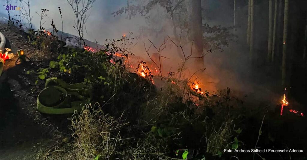 Einsatz am vergangenen Mittwochabend am höchsten Berg der Eifel: Ein Waldbrand an der Hohen Acht drohte auf die Baumkronen überzugreifen! Die Feuerwehr verhinderte ein Wipfelfeuer auf 700 qm in letzter Sekunde.