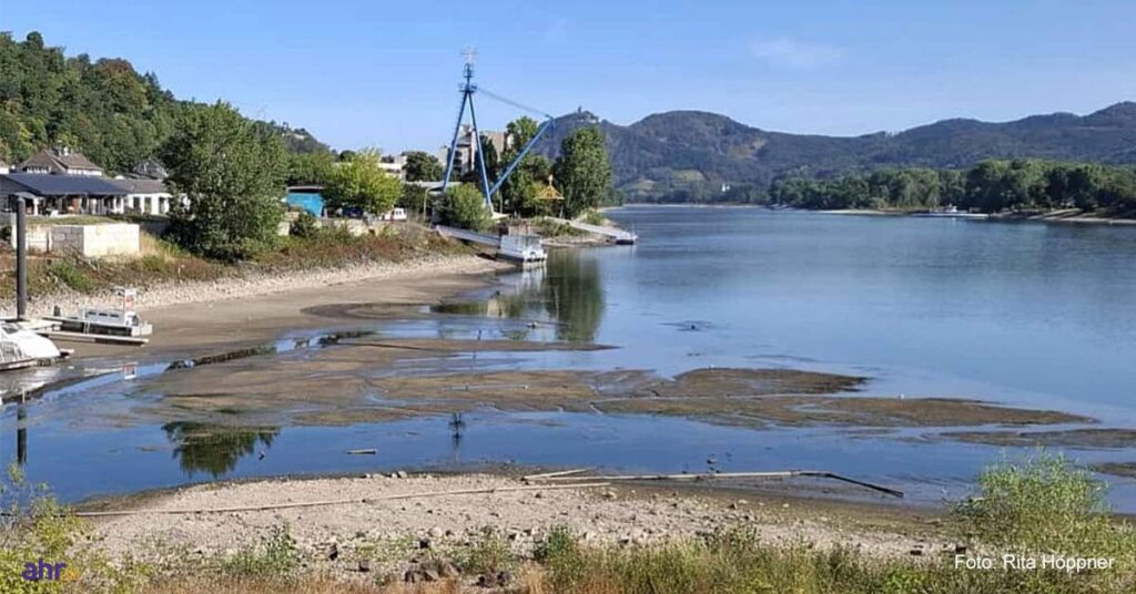 Der Rhein legt seine ‚Schätze‘ offen – und nein, es sind wahrscheinlich keine Goldmünzen. Was Oberwinter am Samstag am Ufer findet....