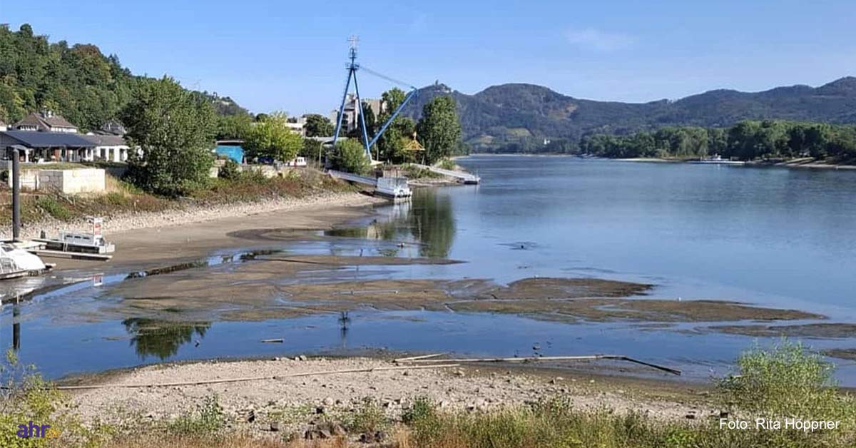 Der Rhein legt seine ‚Schätze‘ offen – und nein, es sind wahrscheinlich keine Goldmünzen. Was Oberwinter am Samstag am Ufer findet....